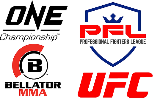 Organisations de MMA